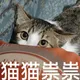 BangXi's avatar